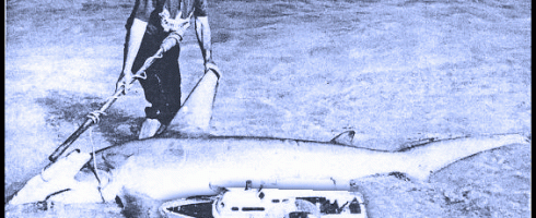 Rc Fishing isn't only for hobbyists